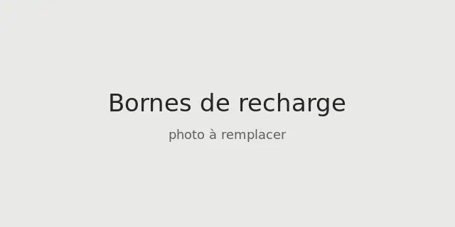Bornes de recharge IRVE résidentielles et tertiaires distribuées par feedenergy
