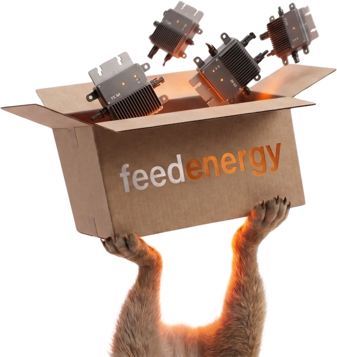 Mascotte feedenergy — un suricate en smoking portant un carton feedenergy