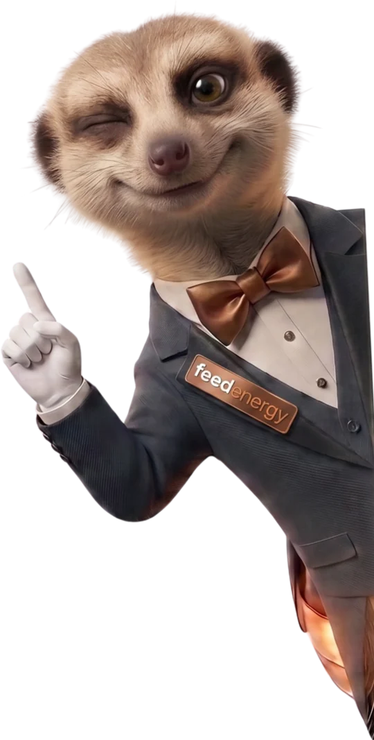 Mascotte feedenergy — un suricate en majordome, index levé, qui donne un conseil d'expert